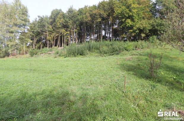 Grundstück kaufen in 9072 Ludmannsdorf (Bild 5)