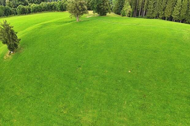 Grundstück kaufen in 4554 Oberschlierbach (Bild 5)