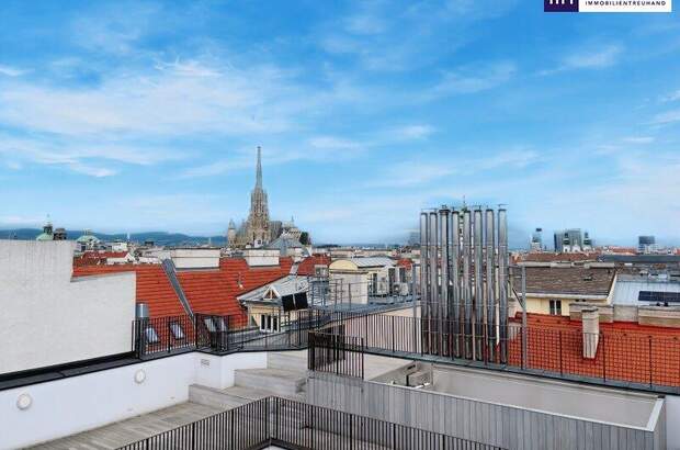 Terrassenwohnung kaufen in 1010 Wien (Bild 1)