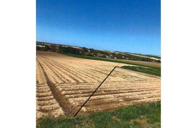 Grundstück kaufen in 2004 Niederhollabrunn (Bild 2)