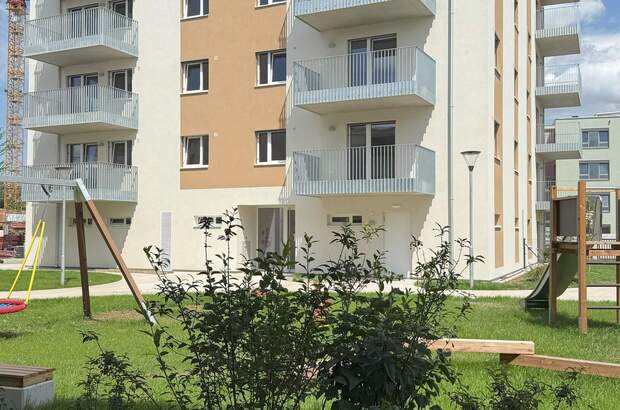 Terrassenwohnung mieten in 2700 Wr. Neustadt (Bild 4)
