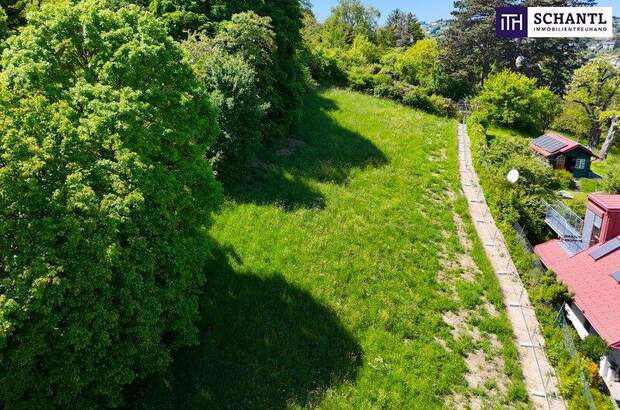 Grundstück kaufen in 3400 Klosterneuburg (Bild 3)