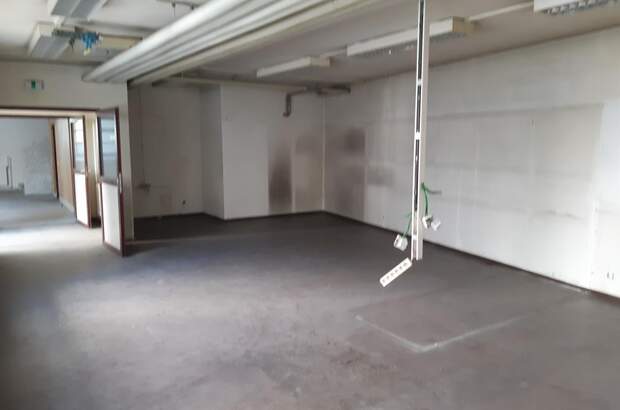 Ladenlokal mieten in 3580 Horn (Bild 5)