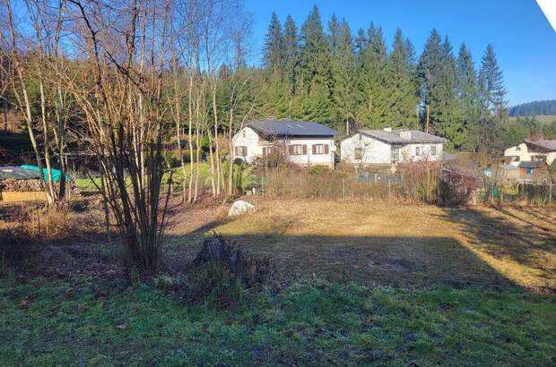 Grundstück kaufen in 4180 Saumstraß (Bild 2)