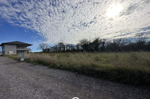 Grundstück kaufen in 3252 Petzenkirchen (Bild 4)