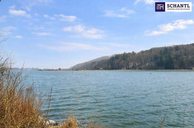 Grundstück kaufen in 3681 Hofamt Priel (Bild 4)