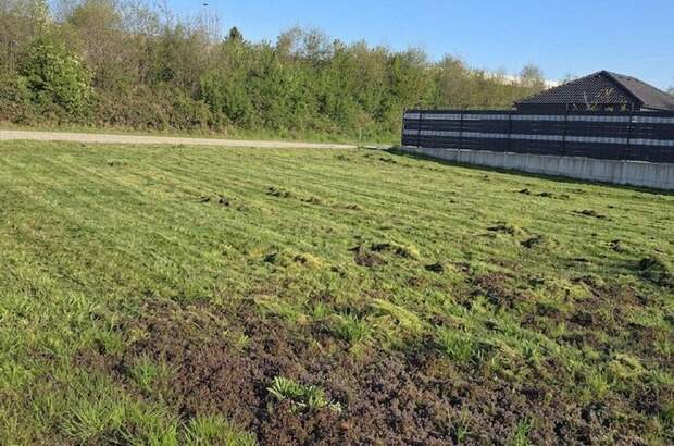 Grundstück kaufen in 4910 Ried (Bild 2)