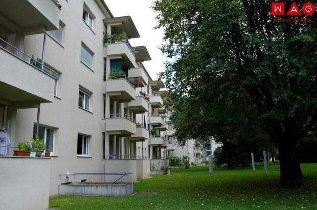 Terrassenwohnung mieten in 4020 Linz (Bild 5)