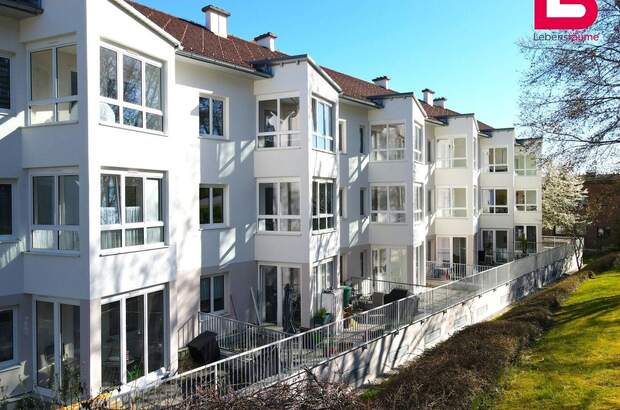 Wohnung mieten in 4120 Neufelden (Bild 5)