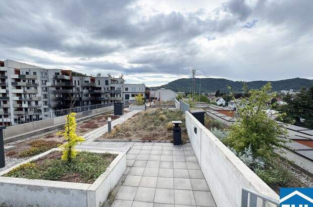 Terrassenwohnung mieten in 8053 Graz (Bild 3)