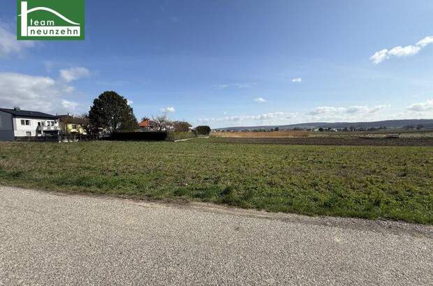 Mehrfamilienhaus kaufen in 2111 Tresdorf (Bild 5)