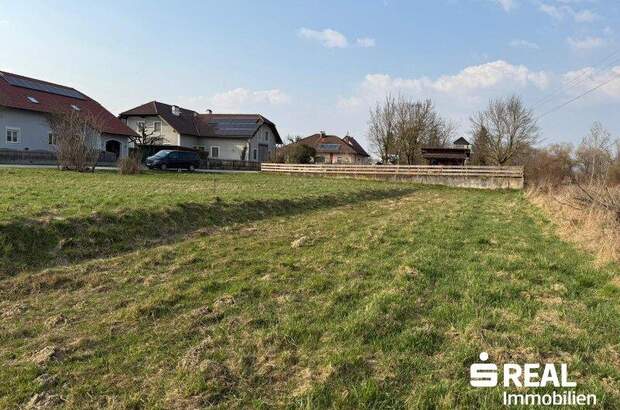 Grundstück kaufen in 4070 Pupping (Bild 3)