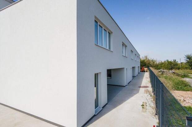 Produktion mieten in 3425 Langenlebarn (Bild 4)