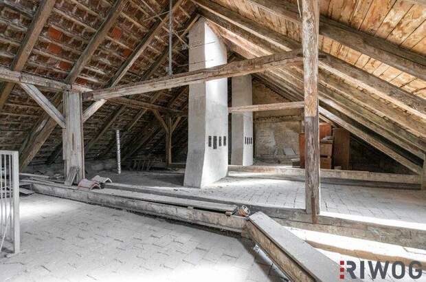 Terrassenwohnung kaufen in 1100 Wien (Bild 2)