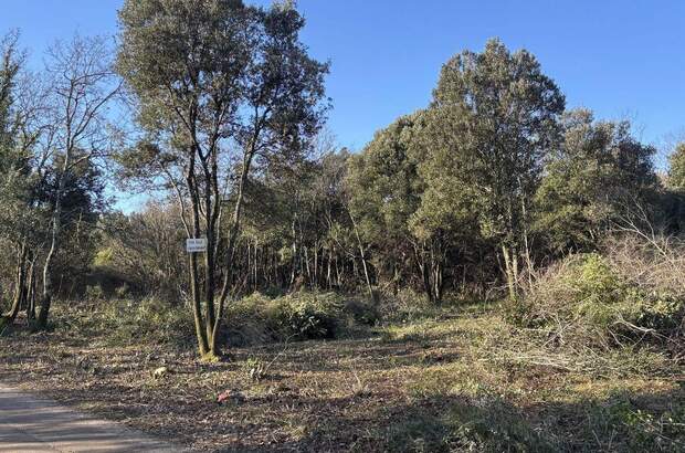 Gewerbeobjekt kaufen in 52208 Kavran (Bild 4)