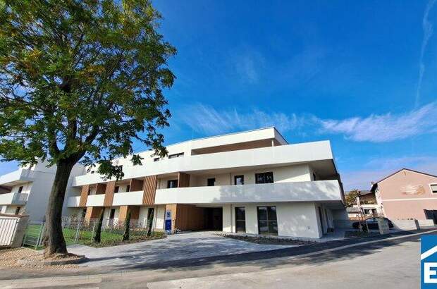 Büro / Praxis kaufen in 7100 Neusiedl (Bild 4)