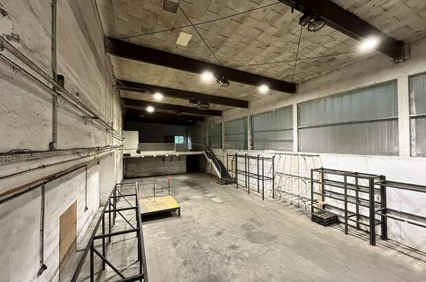Gewerbeobjekt mieten in 4600 Thalheim (Bild 2)