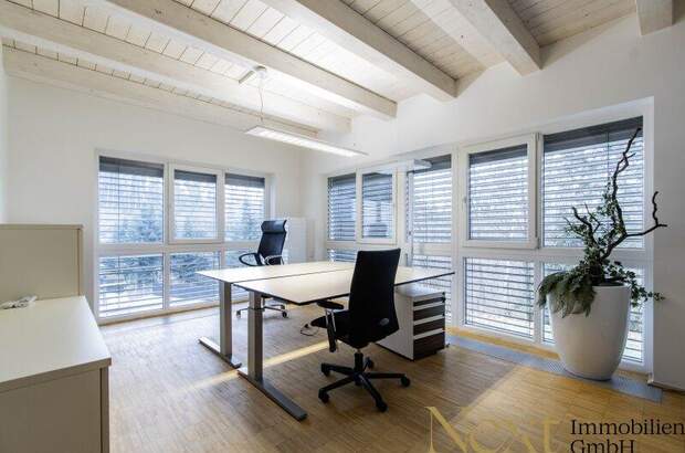 Büro / Praxis mieten in 4291 Lasberg (Bild 3)