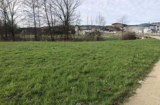 Gewerbeobjekt kaufen in 4760 Raab (Bild 5)