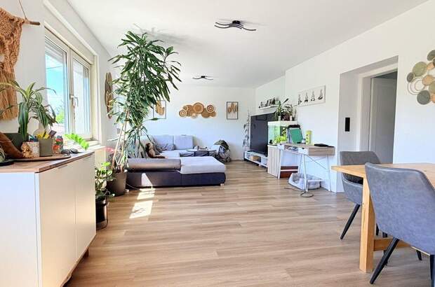 Haus mit Garten kaufen in 2325 Velm (Bild 1)