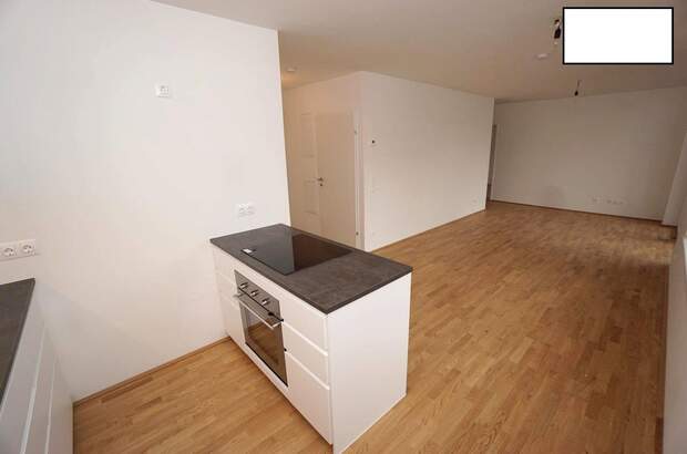 Terrassenwohnung mieten in 1160 Wien (Bild 1)