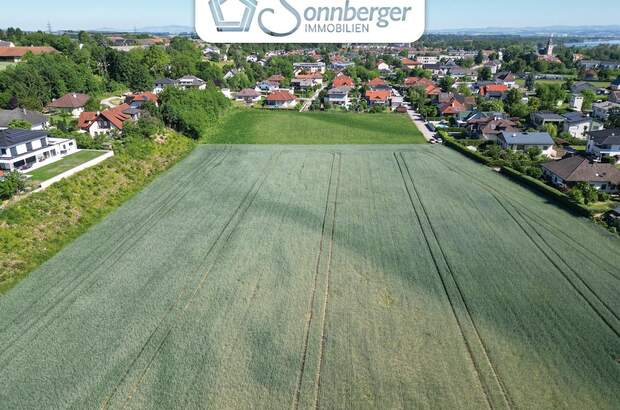 Grundstück kaufen in 4484 Kronstorf (Bild 1)