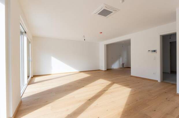 Einfamilienhaus kaufen in 1220 Wien (Bild 4)