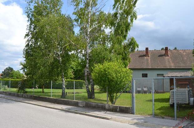 Haus mit Garten kaufen in 2402 Haslau