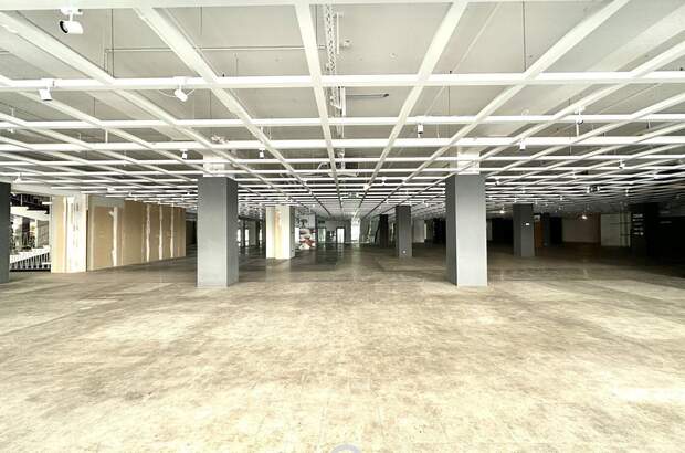 Gewerbeobjekt mieten in 4020 Linz (Bild 2)