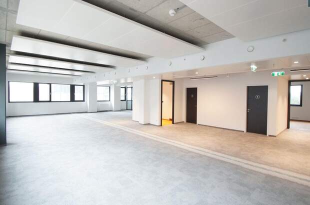 Gewerbeobjekt mieten in 1100 Wien (Bild 3)