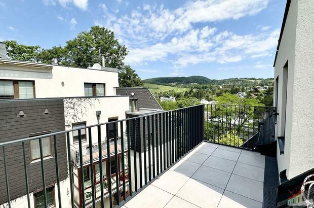 Terrassenwohnung kaufen in 1190 Wien (Bild 4)