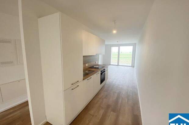 Terrassenwohnung mieten in 3451 Michelhausen (Bild 2)