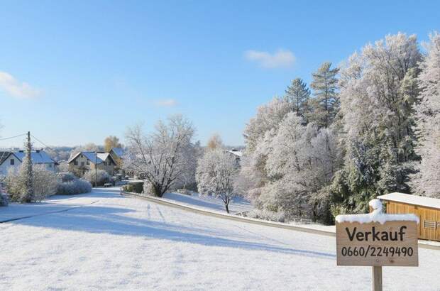 Grundstück kaufen in 8503 Sankt Josef (Bild 1)