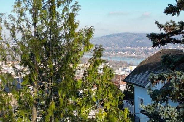 Grundstück kaufen in 3400 Klosterneuburg (Bild 3)