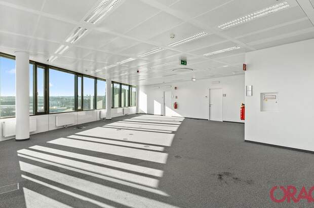 Gewerbeobjekt mieten in 1110 Wien (Bild 1)