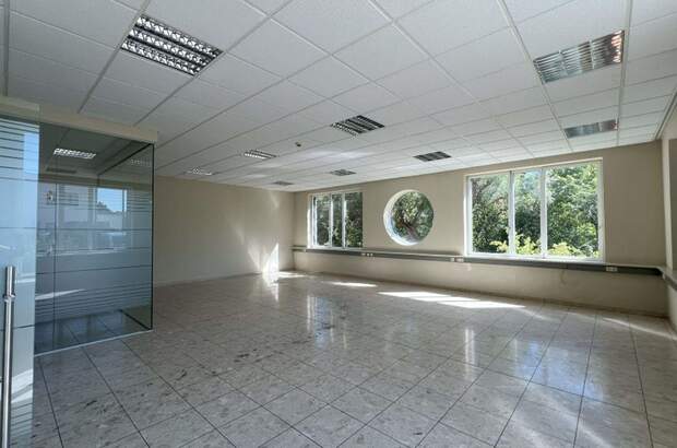 Gewerbeobjekt mieten in 1230 Wien (Bild 2)