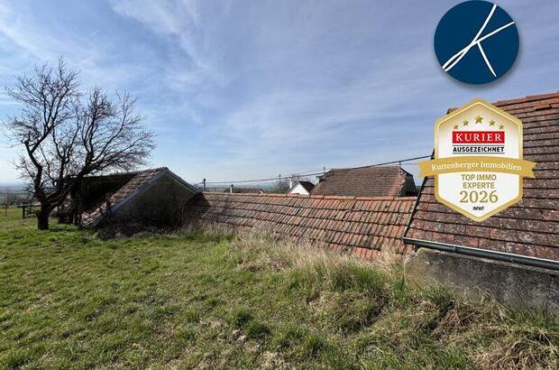 Grundstück kaufen in 3483 Feuersbrunn (Bild 5)