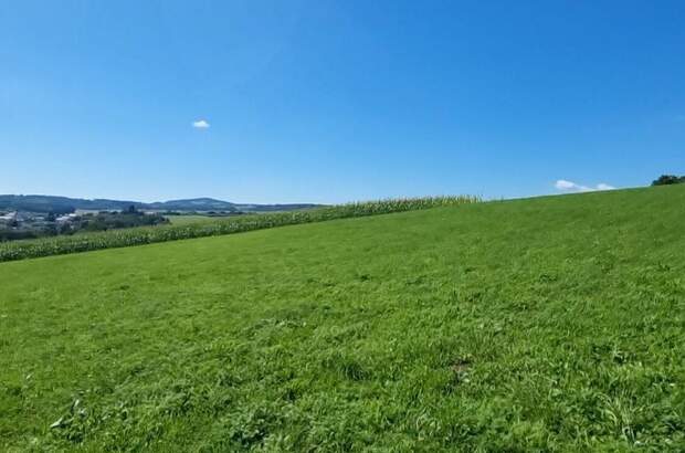 Gewerbeobjekt kaufen in 4223 Bodendorf (Bild 2)