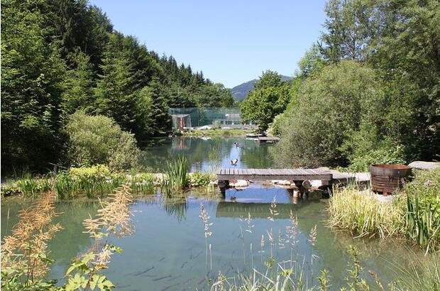 Mehrfamilienhaus kaufen in 3341 Ybbsitz (Bild 2)