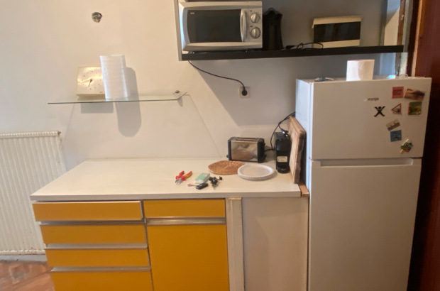 Altbauwohnung mieten in 1200 Wien (Bild 5)