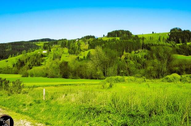 Gewerbeobjekt kaufen in 9462 Bad St. Leonhard (Bild 1)