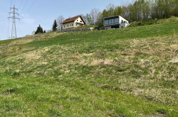 Grundstück kaufen in 8661 Sankt Barbara (Bild 4)