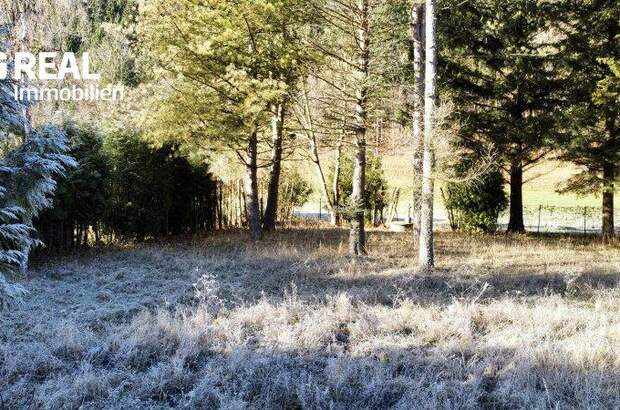 Grundstück kaufen in 3172 Ramsau (Bild 2)