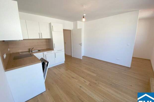 Terrassenwohnung mieten in 1100 Wien (Bild 4)