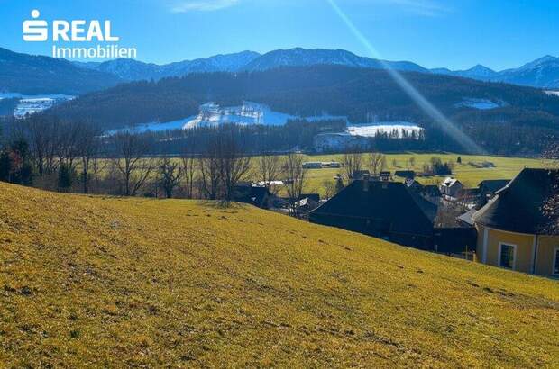 Grundstück kaufen in 8954 St. Martin (Bild 1)