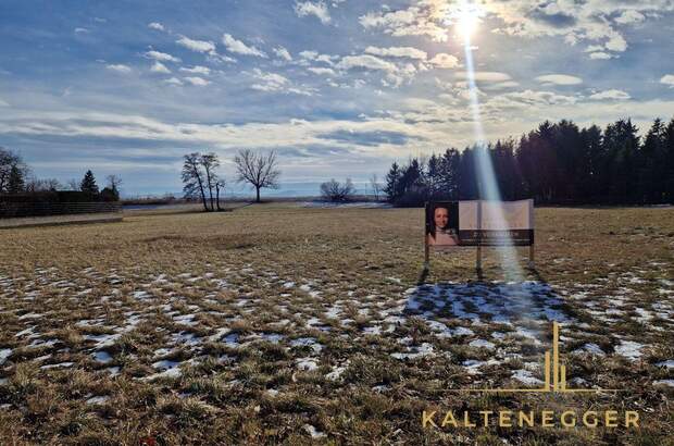 Grundstück kaufen in 2722 Weikersdorf (Bild 1)