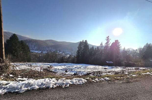 Grundstück kaufen in 3011 Purkersdorf (Bild 3)