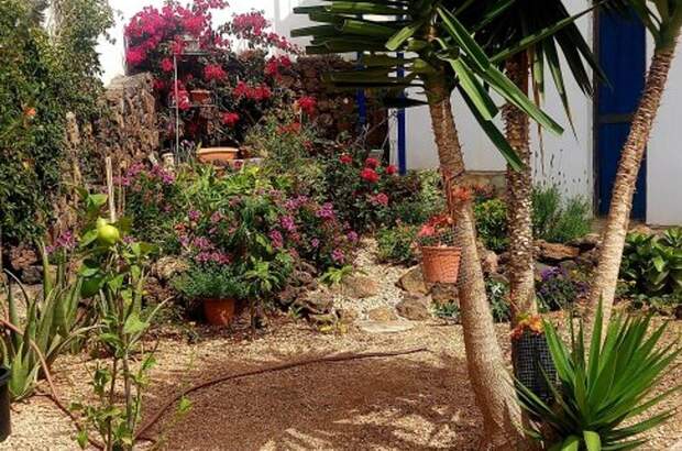 Anlageobjekt kaufen in 38627 Las Rosas del Guanche (Bild 3)