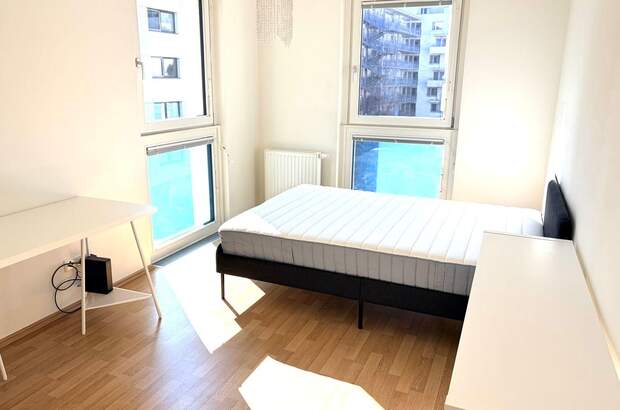 Mietwohnung in 1100 Wien (Bild 1)