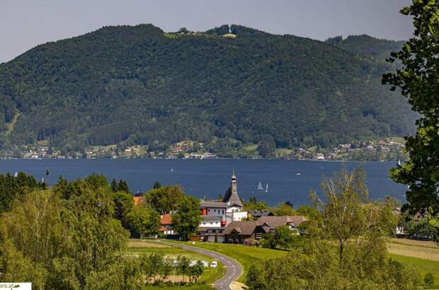 Grundstück kaufen in 4881 Straß (Bild 4)